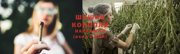соль ск Липки