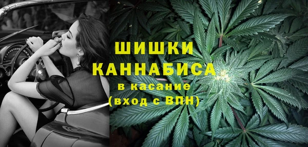соль ск Липки