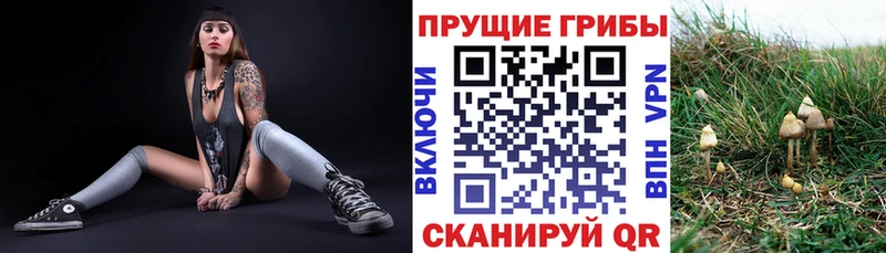 Галлюциногенные грибы прущие грибы  Тихорецк 