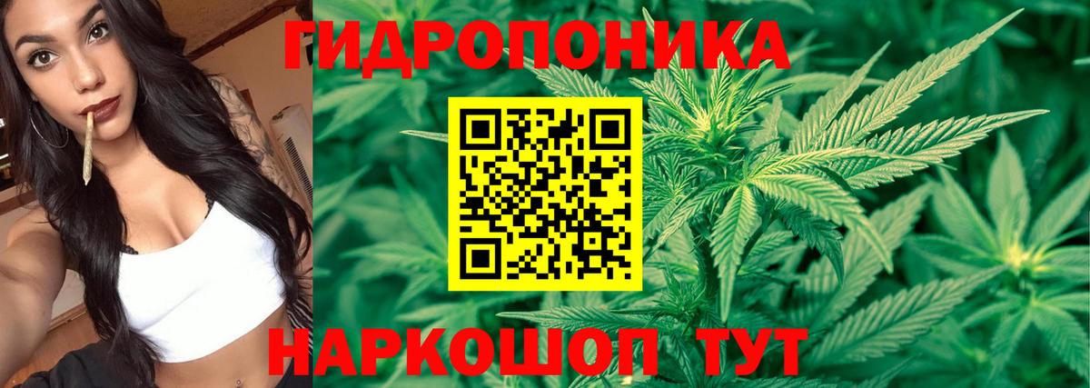 Тихорецк  Конопля THC 21%  Шишки марихуана марихуана  Вход с VPN 